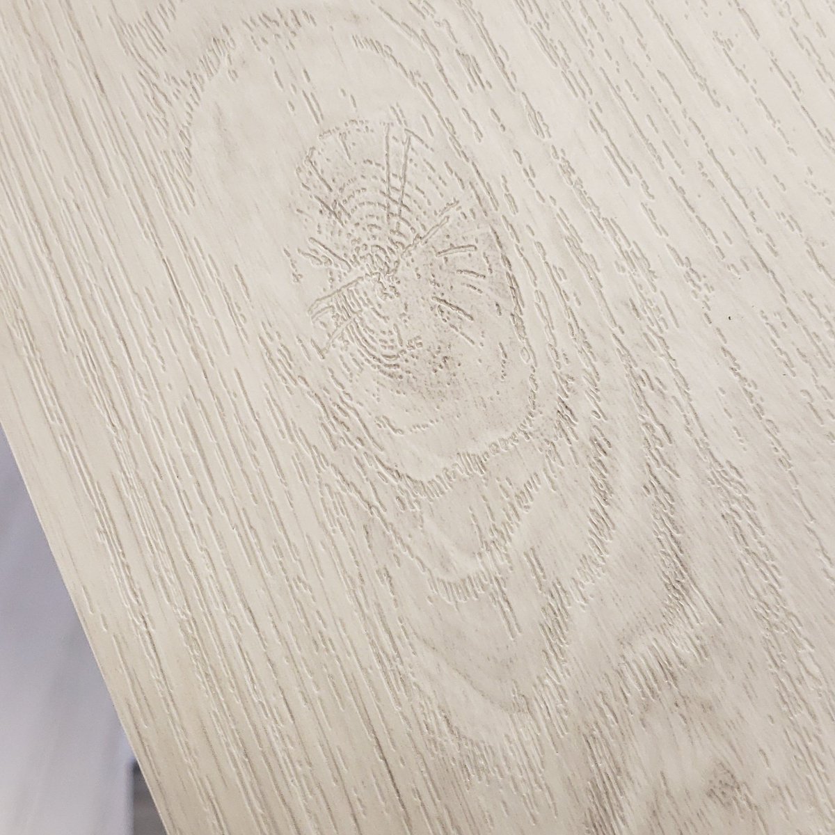 KernoUSA's tweet photo. Taction Oak Alabaster EIR🧩 Colorthrough⚪, Waterproof☔ Fire rated 🔥aeCore®️ https://t.co/1ksHQiKWgT #aecore #colorcore #solidcore #decorativelaminates #laminate #design #designer #retailfixtures #tradeshow #interiordesign #officefurniture #millwork #cabinetmaker #vanity #hgtv https://t.co/HFNDhNCisZ