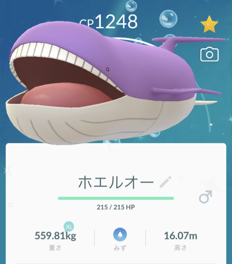 Pokego Fantasista ウォーターフェスティバル お疲れ様でした ドジョッチ やキバニア のイロチは来てくれなかった けど 楽しめました イロチ は お初の シェルダー と 2体目の ホエルコ が来てくれたよん 記念に パープル