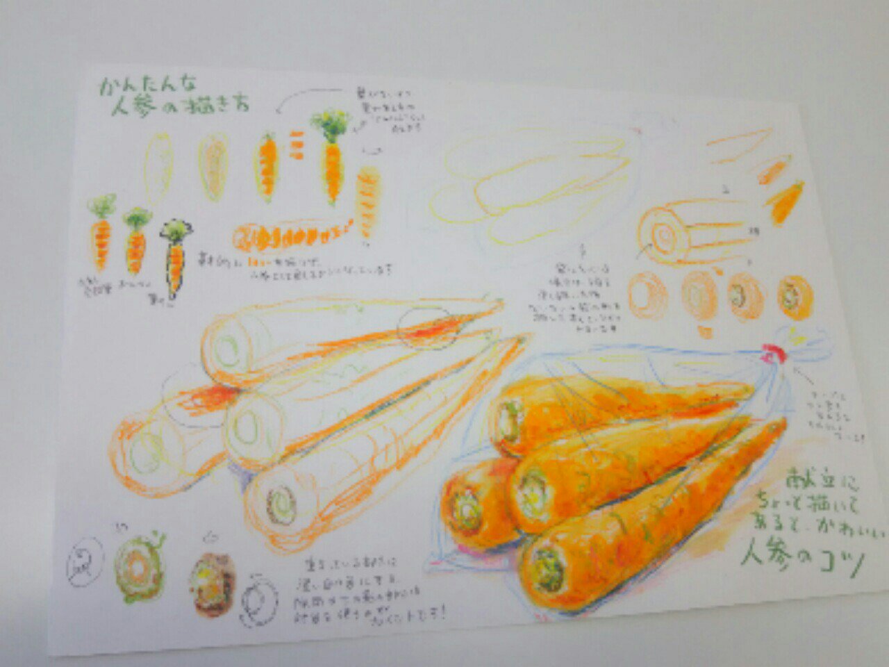 ねこい 11月16日亀田イオンカルチャースクールで水彩色鉛筆塗り絵教室をします 本日のイラスト紹介 お店の体験教室用に描いた 朝市の野菜の描き方纏め 絵なんて授業でやったぐらい という方が多いので説明文はゆるゆるです 水彩色鉛筆11色を水と