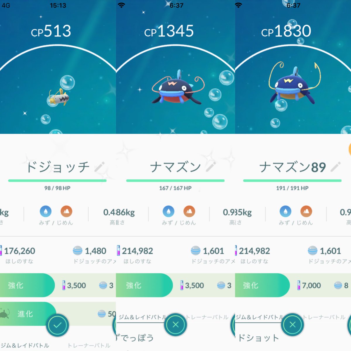 ドジョッチ色違い