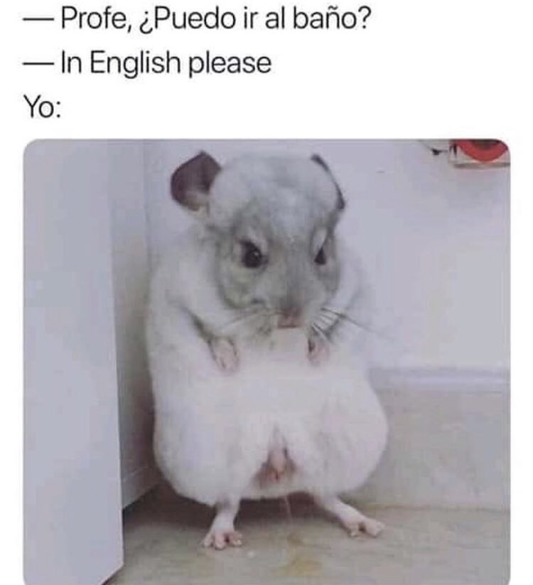 ۫ (@memedass) on Twitter photo 