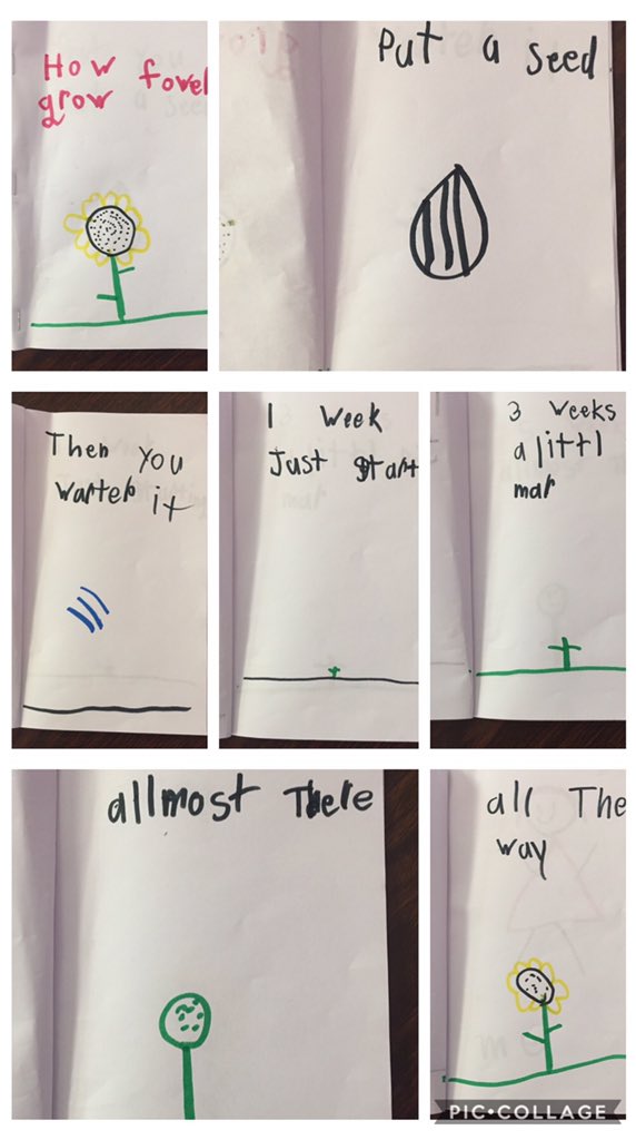 NSteeleTeaching's tweet photo. This makes me so happy! The reading at recess bug has caught this sweet boy! While others students want to make books- “it’s a timeline of a flower growing!” 🥰 #SwingandRead #WeAreUnionSTEM #timelines https://t.co/KvjzPfzpvF
