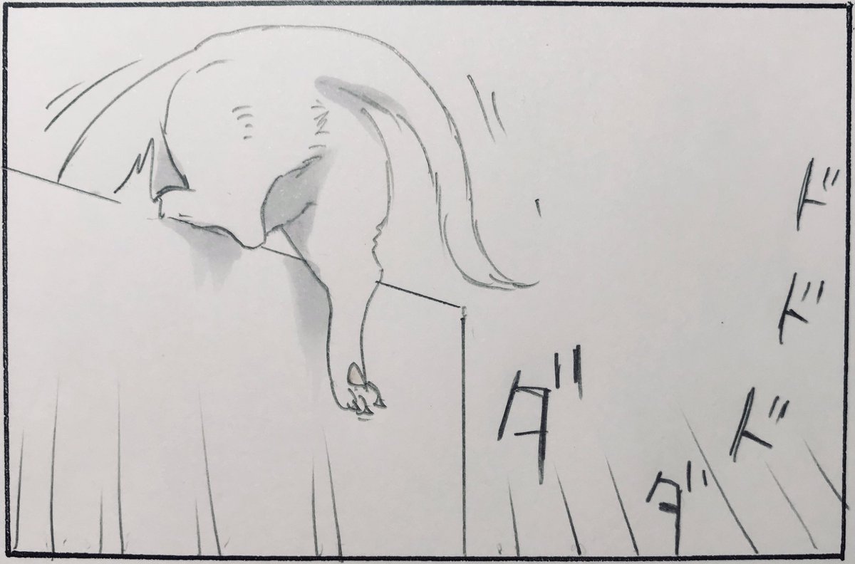 『猫の動き』 