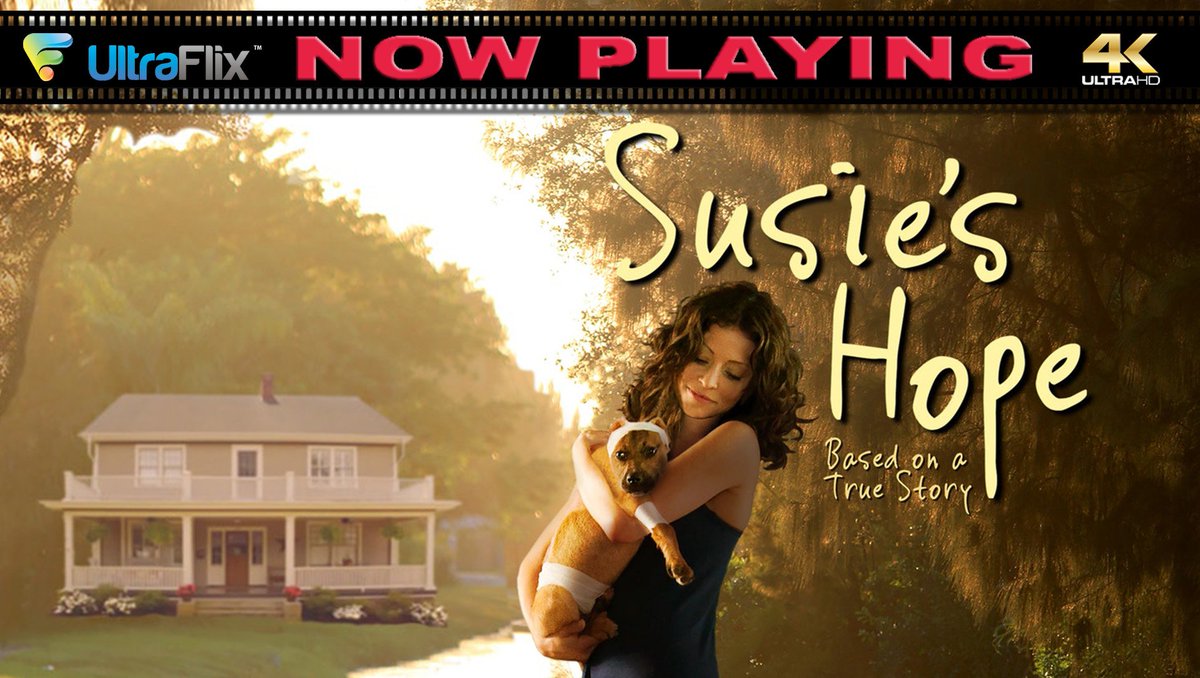 Now Playing in 4K only on UltraFlix, Susie's Hope.   A survivor of a pit bull attack, Donna adopts a pit bull-mix puppy that has been beaten, set on fire, and left for dead. Together, they seek justice and protection for all animals. 80% on Rotten Tomatoes!  #UltraFlix #4KStudios