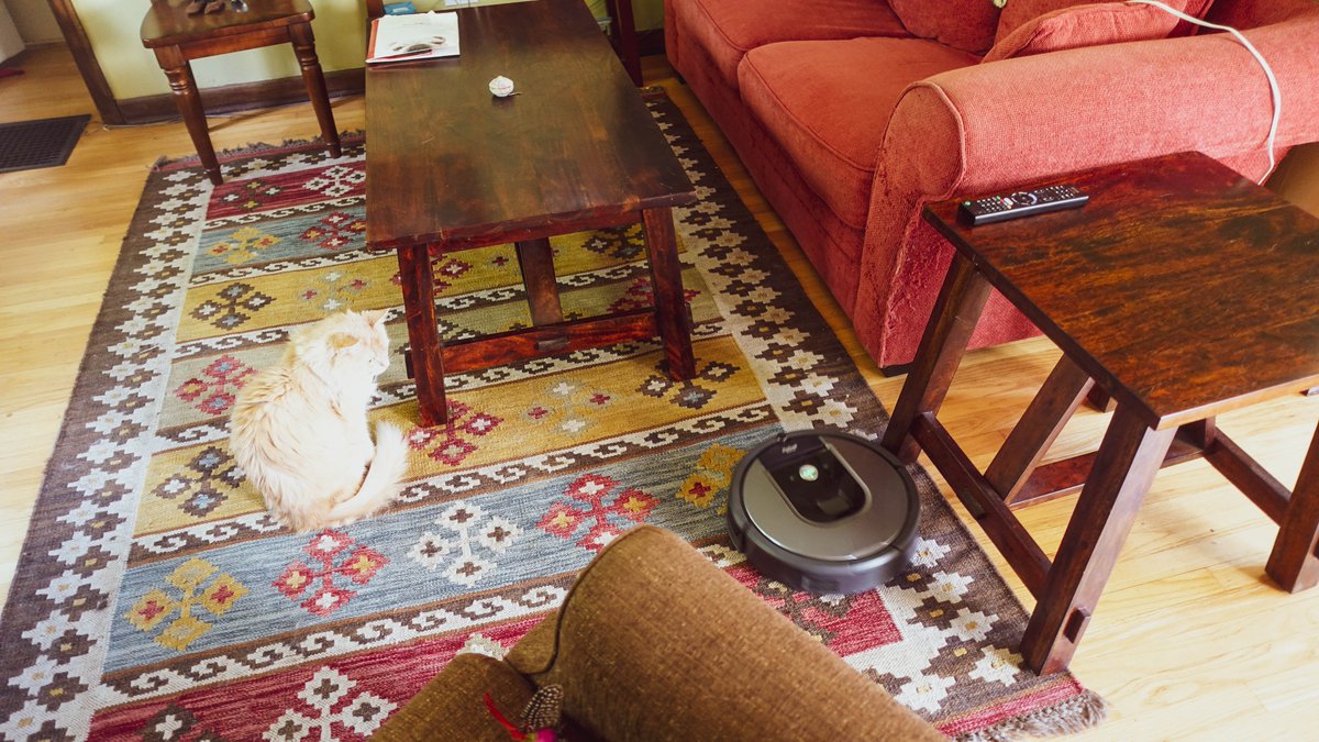 TempResidents's tweet image. CAT -VS- VAC

Walter "the Orange Menace" Fluffypants
takes on
"Rosy the Meaner" Vacuum Cleaner
😼🤪

#2TravelCats #DeathMatch #Portland #CatsOfTwitter
