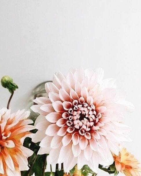 goldlinejournal's tweet photo. Merry weekend lovelies 🌸 pretty blooms via #pinterest https://t.co/4zl0j6GShV https://t.co/sDWIblN4YP