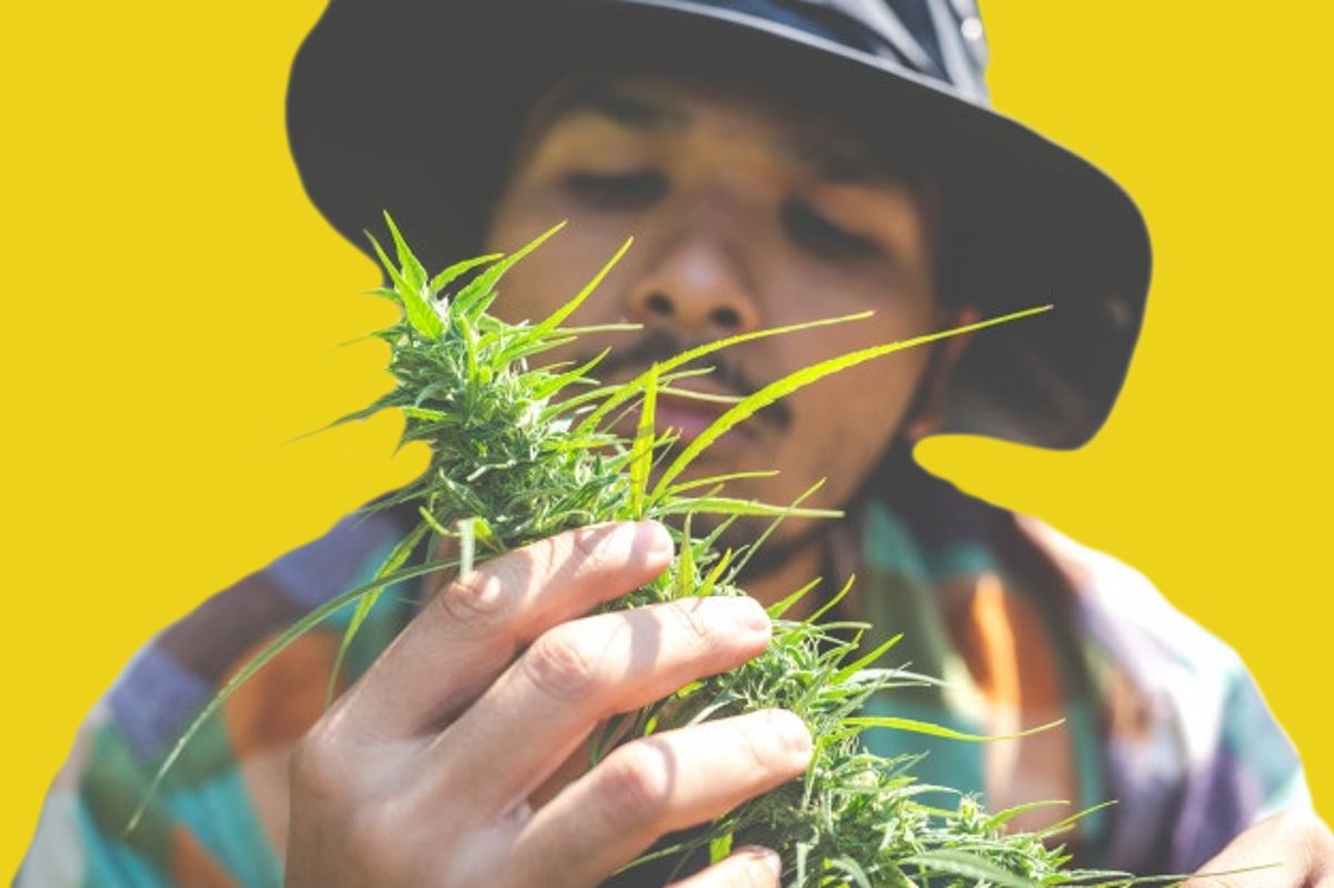 blizzlmedia's tweet photo. Shout out to the farmers! All you farmers, master growers and cultivators are what make this industry possible, and we appreciate you!

#weeddeals #cannabisdeals #weedfarmers #thanks https://t.co/74pMtM6NgL