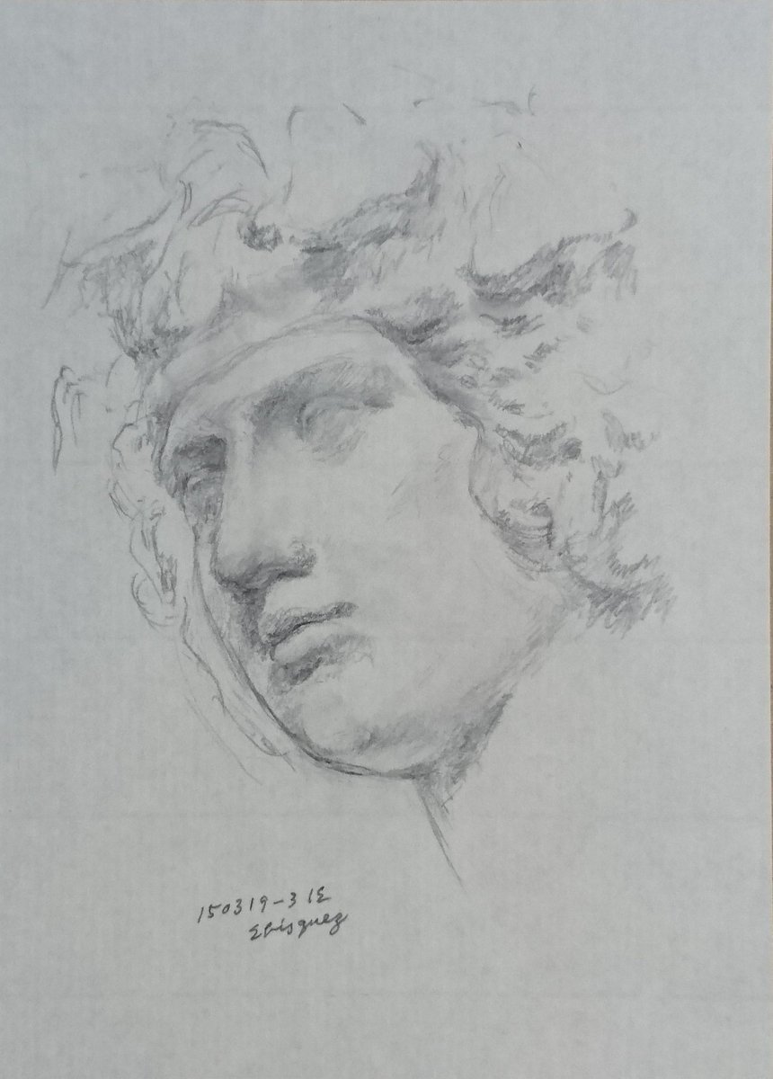 2019  A6クロッキー帳に鉛筆

前回の像の顔の素描です。
この像のモデルは、帝政ローマ期のハドリアヌス帝の愛人であったアンティノウス(111-130)という美しい青年で20歳の頃にナイル川で水死したそうです。 
 所で、素描すると見るだけでなく観察するので、見ないでもある程度描けるようになります。 