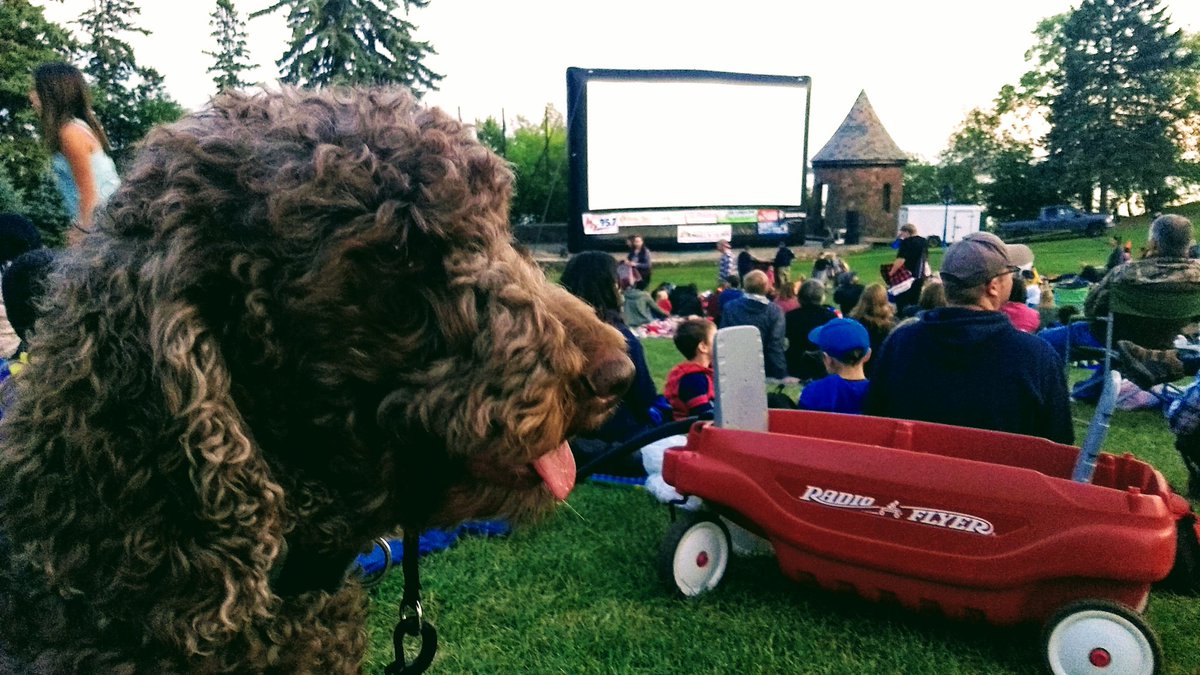 Me and the Dez. Getting our #moviesinthepark on. Thanks @GDCDuluth!