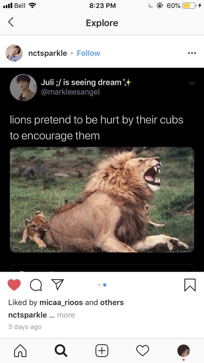 kageyummy's tweet photo. YO BUT THATS A STOLEN TWEET https://t.co/k1VFvN1RdI