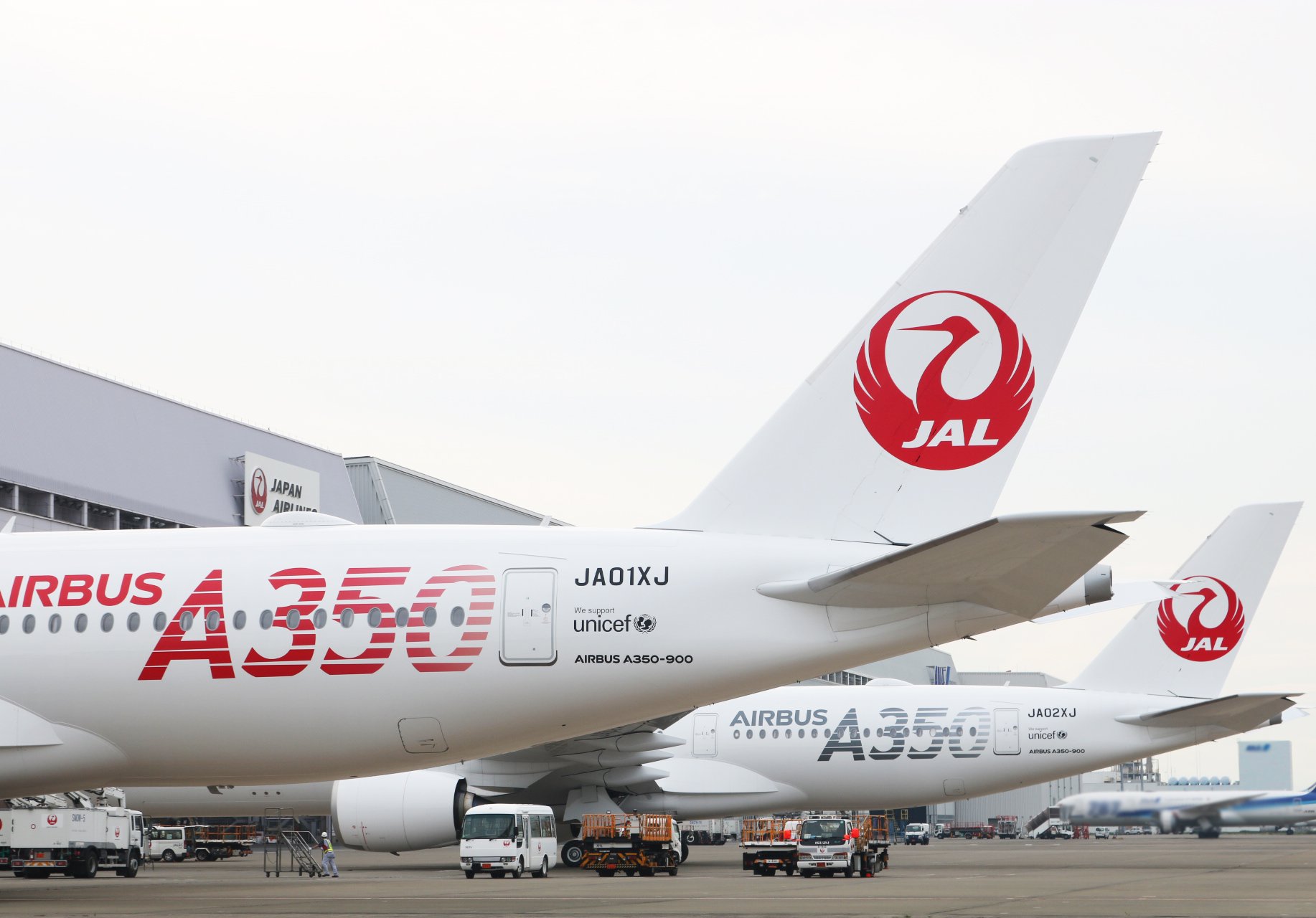 JAPAN AIRLINES【JAL】 على X: 