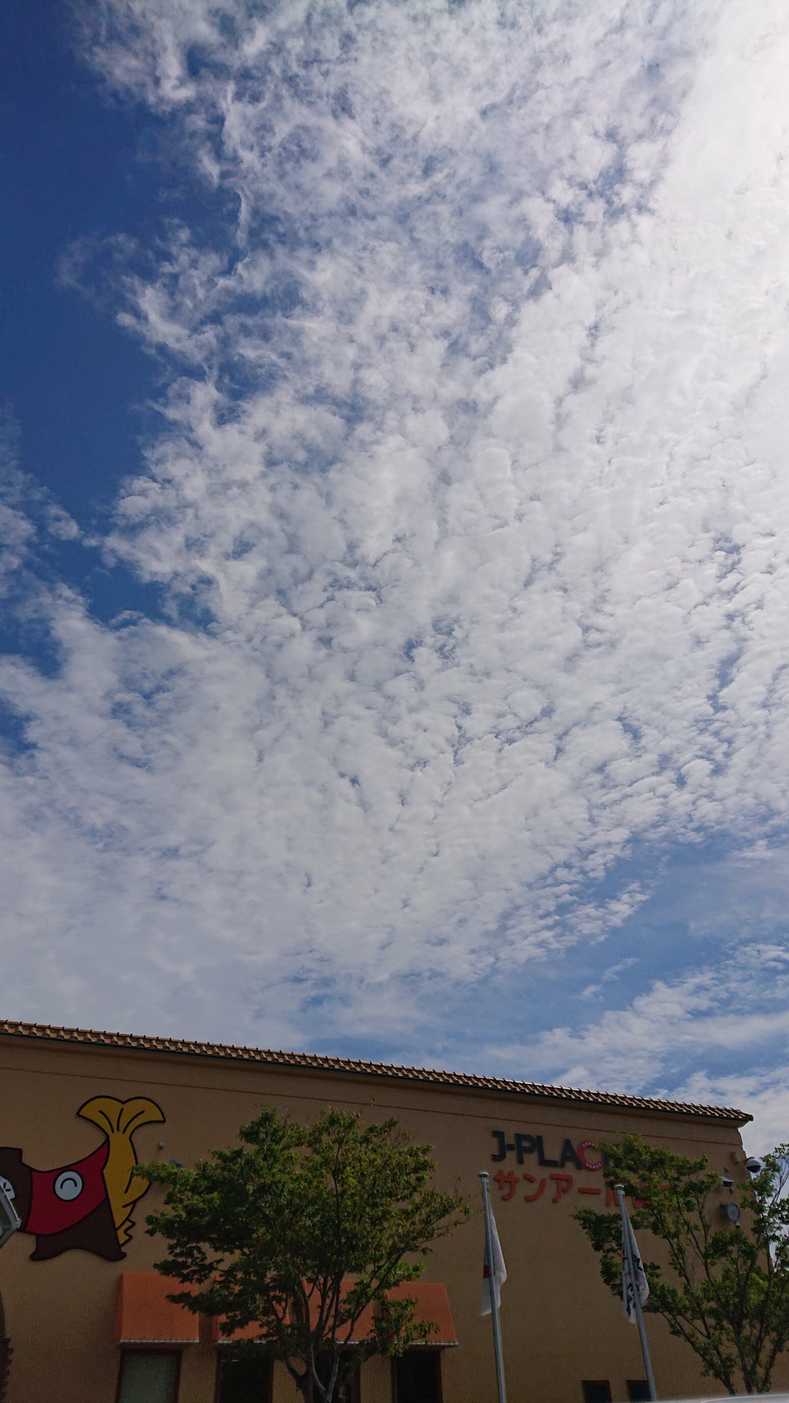 サンアール磯部 Twitter Search Twitter