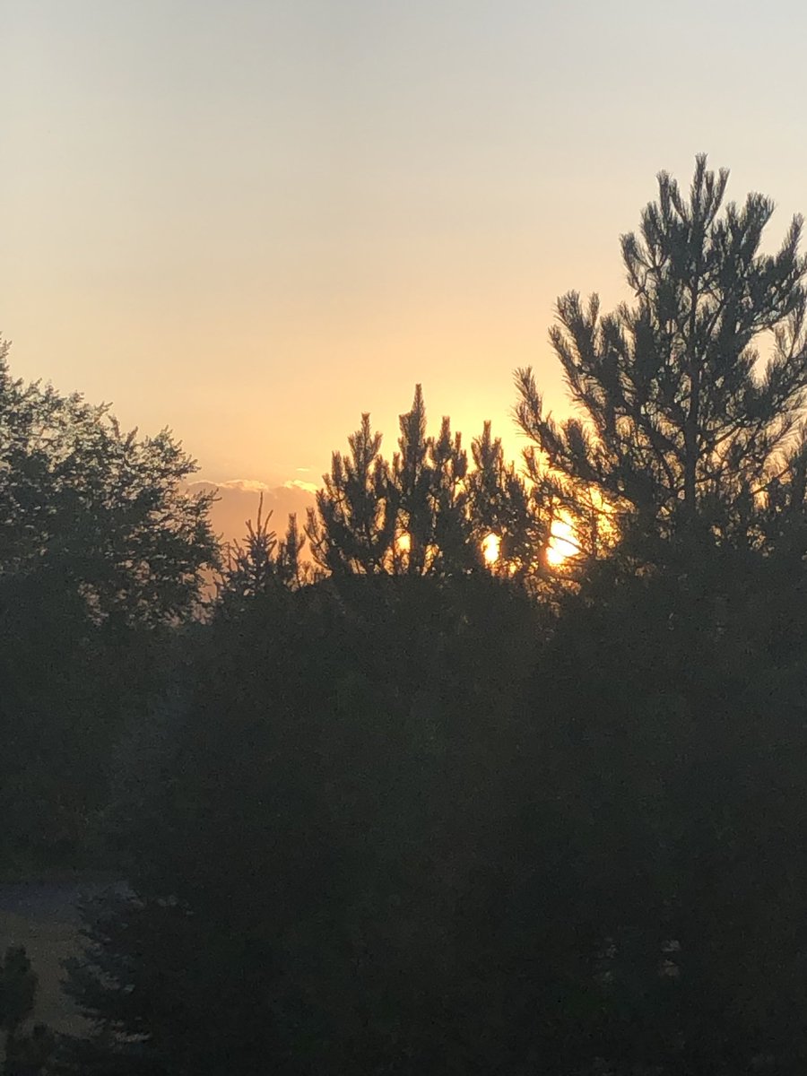 RobintobinTobin's tweet image. 