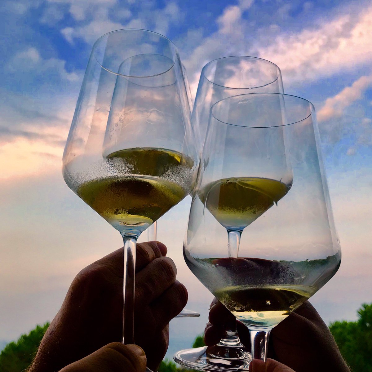 Comincia la festa a #ViniMilo2019 Vi aspettiamo (anche) con 128 #vini dell’#Etna, e poi tanto #streetfood, musica, cultura, presidi #slowfood, mercatini #bio e #kmzero, artigianato