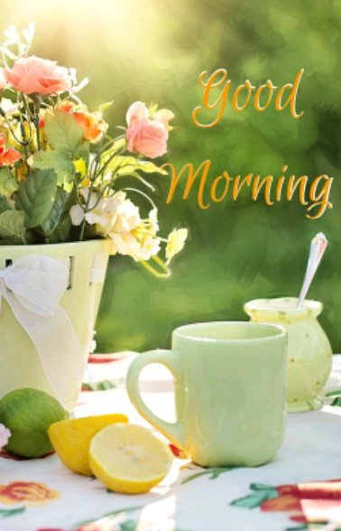 Good morning jordan. good morning to gold sun rise