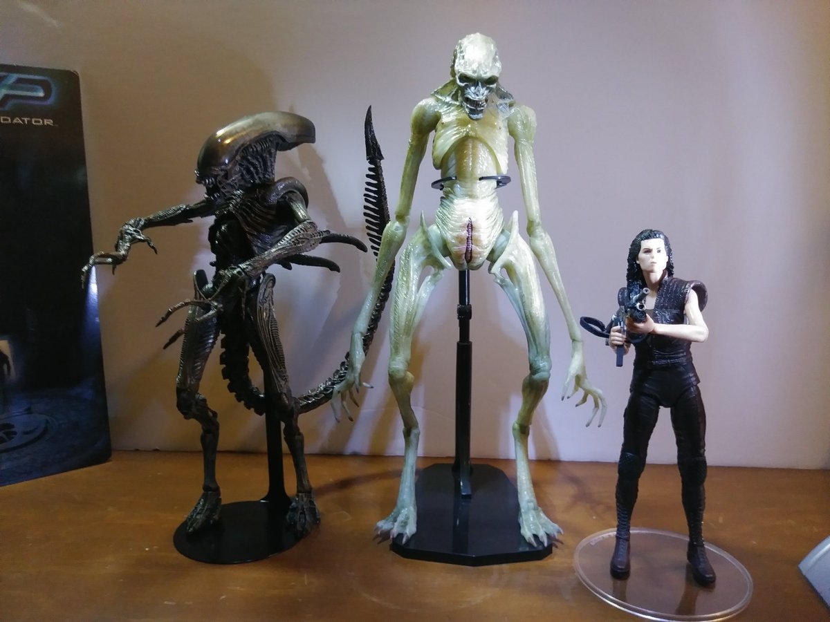 BlueBoy8000's tweet photo. Dear YouTube reviewers; the #NewbornAlien would NOT stand up with straight legs in a straight line. Its legs are supposed 2 b slightly bent like a Cat's or Dog's hind legs in a digitrade position as shown &amp; the head articulation is 4 playing, but sits as this: @NECA_TOYS #Alien https://t.co/Ssql9BusAc