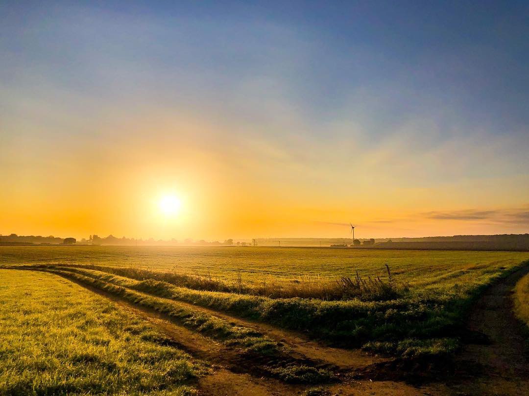 A year ago today! iPhone photos really are not bad at all. Returned to the fields of gold today! Sunrise, sunrise☀️#sunrise #countryside #iphonex #loveukweather #500pxrtg