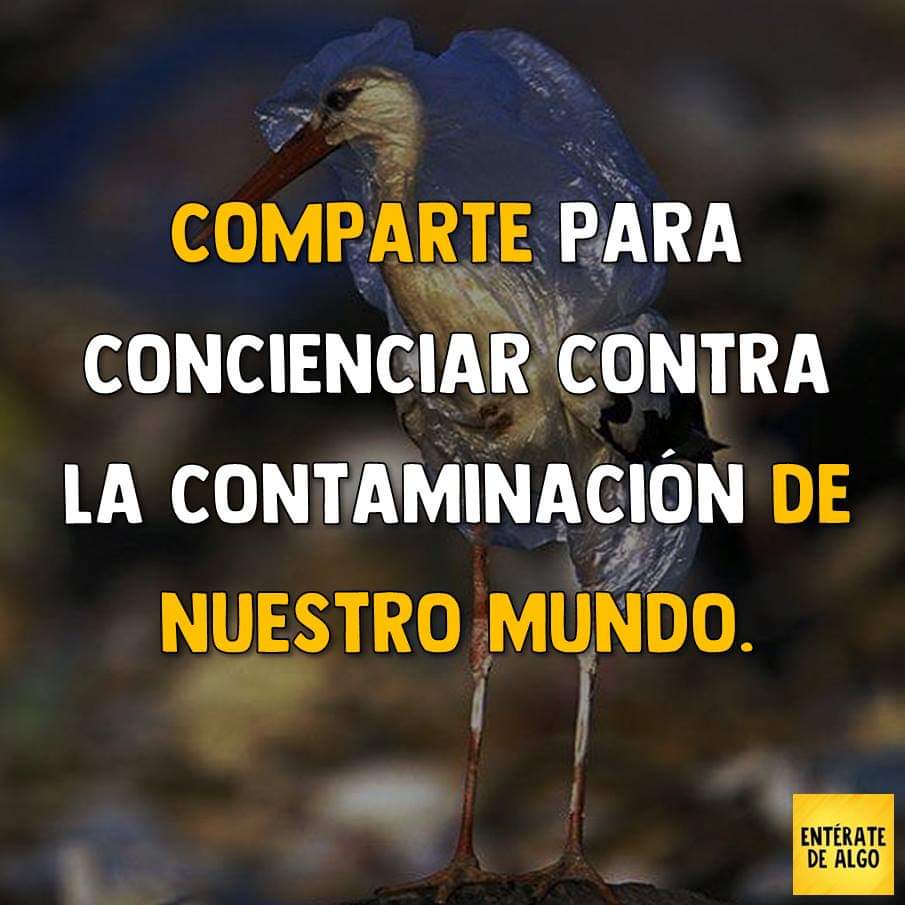 Miramar tweet media