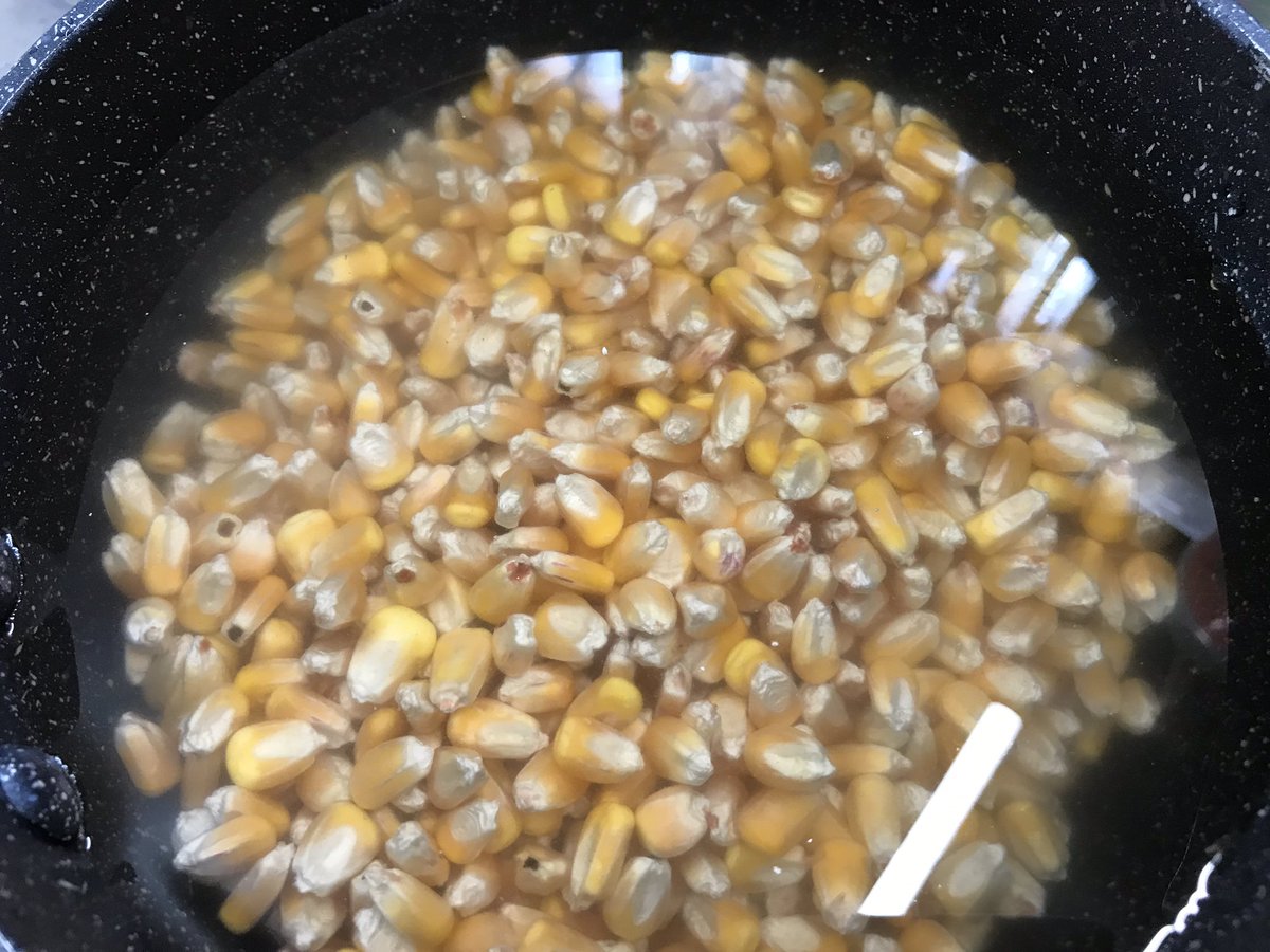 飼料用コーンを食べよう 歯ごたえのある虚無 2ページ目 Togetter