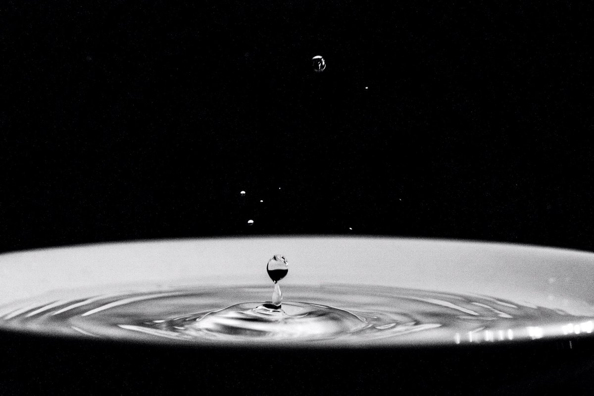 wsouzach's tweet photo. Drops
.
#gotasdeagua #raindrops #drops #water #agua #gotas #byn #baw #blackandwhite #blancoynegro #rmtf #avecofa #avecofadiplomado #luz #light #photo #photography #foto #fotografia #igerschaplin #igersvenezuela #igers https://t.co/53ptWaFTj0
