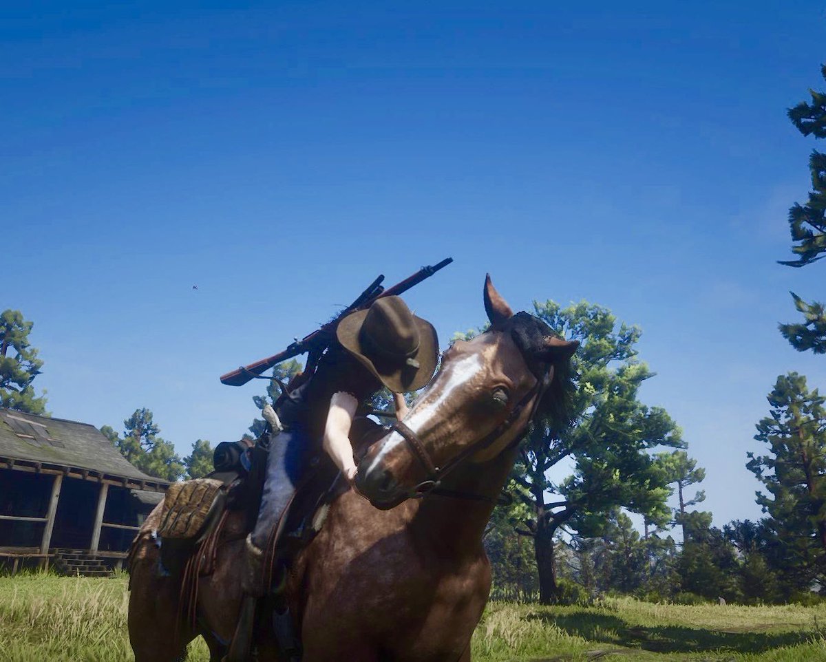 casswylde's tweet photo. When you feed your horse and it looks like she ate your hand off 😩🤣
—
#RedDeadRedemption2 #RedDeadOnline #OutlawsForLife #VirtualPhotography #PS4share #RDR2 #RDOnline #GameArt #GamerGirl #VirtualPhotography #VirtualPeople #VirtualAnimals #RDR2Online #RDRPhoto https://t.co/XdCtfNG1J8