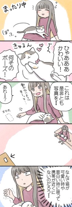 このあるあるをマーフィーの法則(猫)と名付けたいです・・・

 