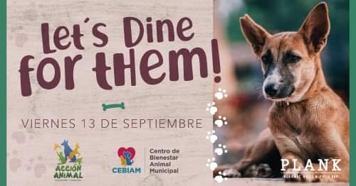 nan_igu's tweet photo. LET'S DINE FOR THEM!!!! #CENA #benéfica #apoyo #peludos @AccionAnimalRM en restaurante @PLANKplaya ubicado en calle16 / 1a y 5ta Av. día 13 de Sept 7pm #donativo $480!!
Los esperamos!!! #Accionate #Dona #Adopta https://t.co/yF8gF6yEnq