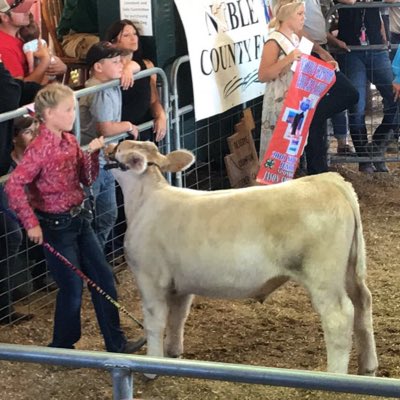 OutsidersCattle's tweet photo. #NewProfilePic https://t.co/3QGeylFXkF
