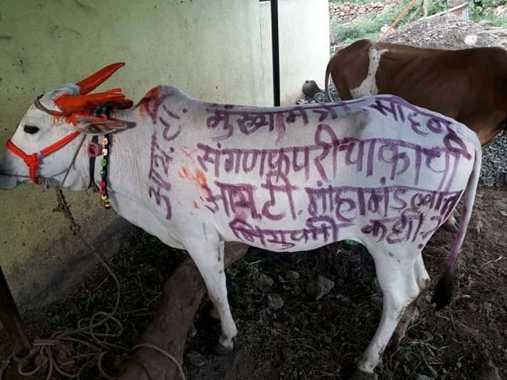 vikasshankarga2's tweet photo. @Dev_Fadnavis @Pankajamunde @girishdmahajan @ChDadaPatil @TV9Marathi @abpmajhatv @kdhavse मुख्यमंत्री साहेब आता तरी आपण मोठ्या मनाने ग्रामपंचायत मधील#संगणकपरिचालक ह्यांचा निर्णय द्यावा ही संपूर्ण महाराष्ट्र ची मागणी https://t.co/ZaJkqEpxPm