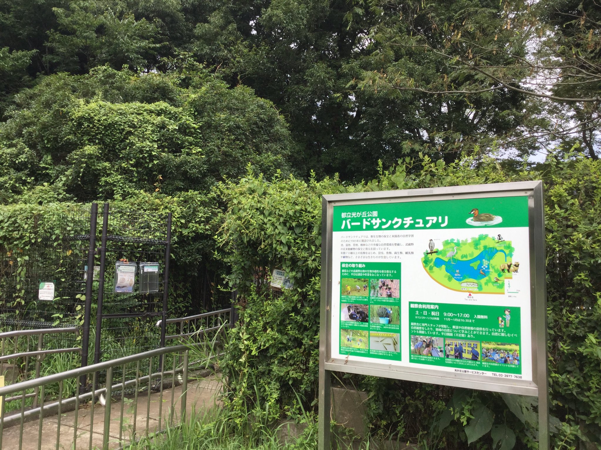 都立光が丘公園 No Twitter 光が丘公園バードサンクチュアリは今日明日と開園しております 野鳥観察以外にもいろいろないきものの紹介や企画を行っていますので 夏休み最後の土日是非お立ち寄りください 都立光が丘公園 No Twitter 光が丘公園バードサンクチュアリは今日明日と開園しております 野鳥観察以外にもいろいろないきものの紹介や企画を行っていますので 夏休み最後の土日是非お立ち寄りください