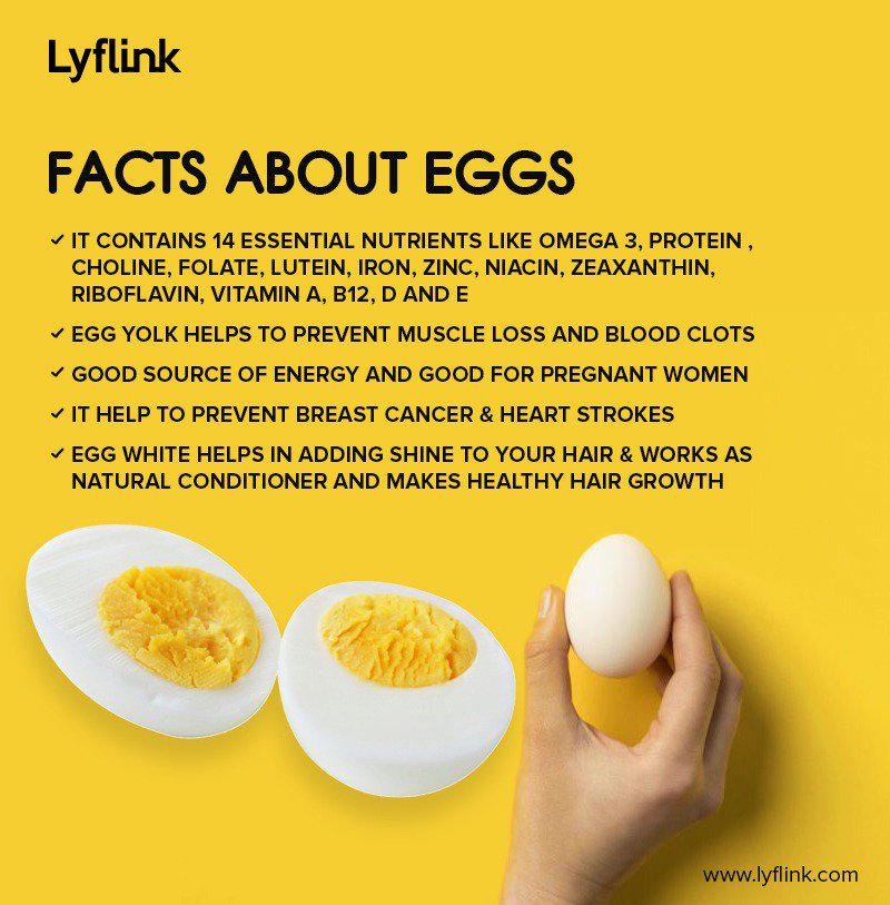 LyfLink's tweet photo. "Learn about Ande Ka Funda and live healthy life."
--
Want to know more fundas??
Download #LyflinkApp- https://t.co/njXzh2mxNd and get the best doctors consultation.
--
#Lyflink #healthawareness #HealthyLife #Fit4Life #Doctors #HealthTips #Playstore #AndeKaFunda #EggTips https://t.co/tR8vY3Xs7n
