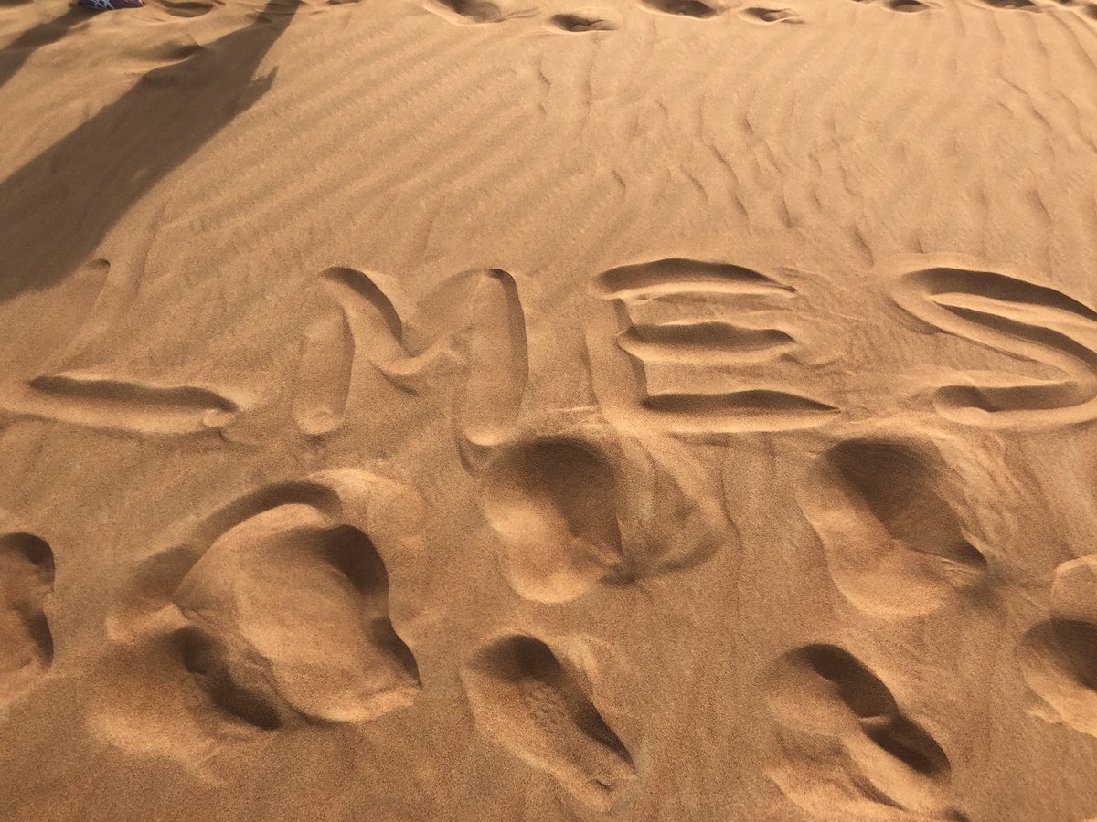 MrPenn31's tweet photo. Although it was tough to not be physically present with my @LyonsMill family during this important teacher week, I carried them all with me, 7,000 miles away, during this adventure. 
#TeamLMES is set to impact the 🌍 in 2019-2020! 💚
See y’all very soon! #TeamBCPS https://t.co/bJ1kAhpU5V