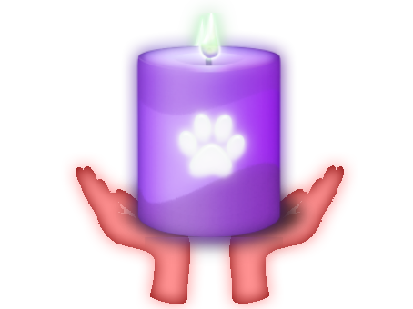 HandToPaw_Zen's tweet photo. Always Remembered...  🐾🌈🐾

August Memorial Reiki session in memory of 
all forever loved fur kids 🐩🐈
who transitioned into spirit during this past month... 👼

from Karen Spinelli of 
https://t.co/ZDpZCZ7uuL with love 💜 https://t.co/6PA4hvLHhz