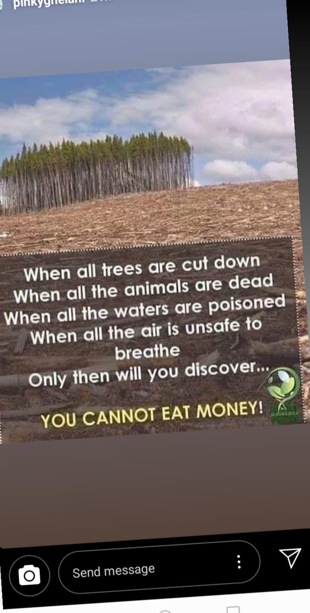 peterngoo4's tweet image. #amazonforestfire#reality