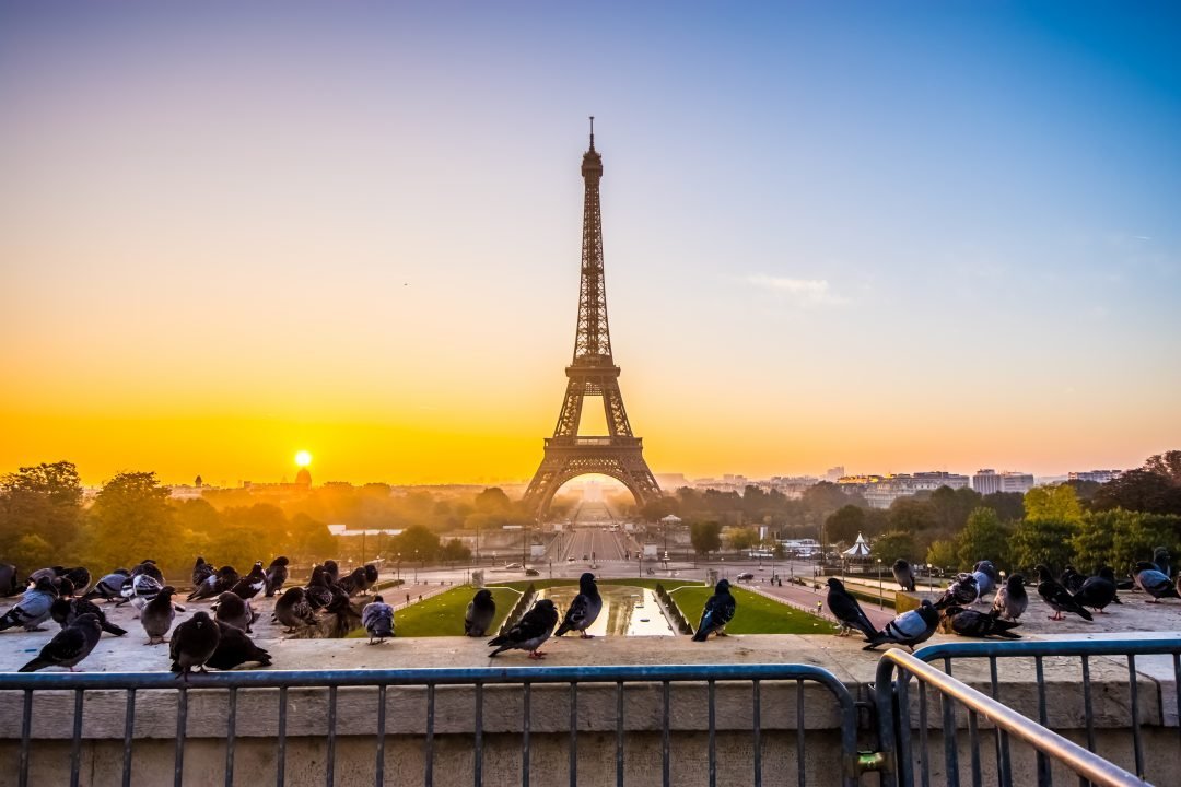 ParisAMDParis's tweet image. Bonjour    Good morning      Paris