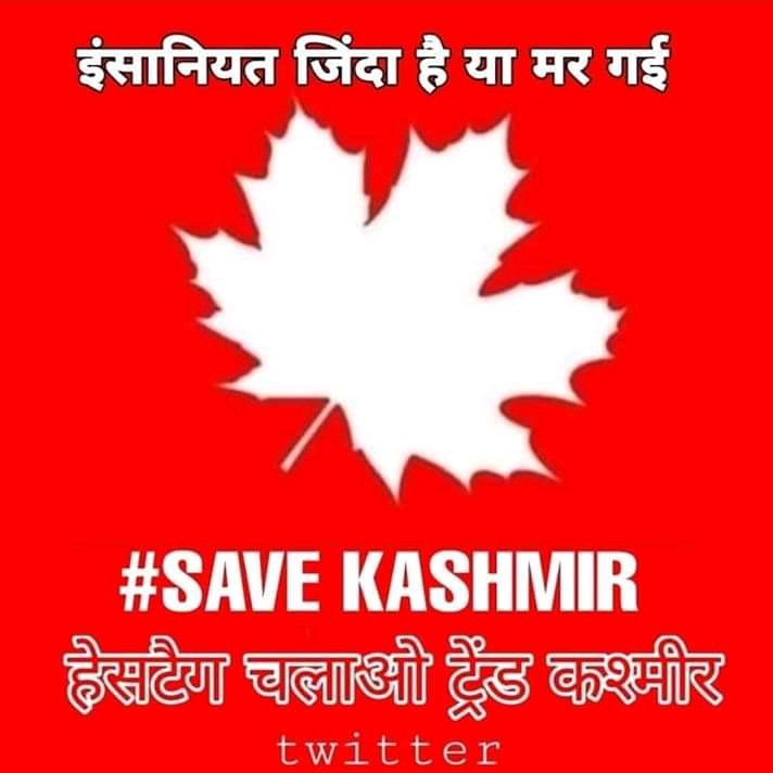 Nsaif17's tweet photo. #SavekasmirSOS https://t.co/CLzxemoeKu