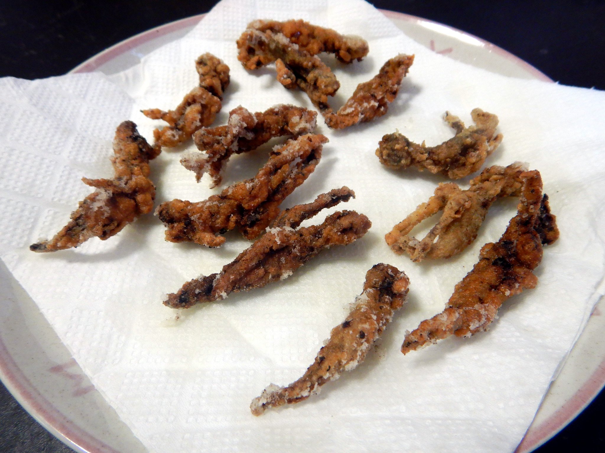 東京でとって食べる生活 ウシガエルのおたまじゃくし をとってきたので 唐揚げに 味は チキチキボーン 育ち具合で味が違うのですが 手足ができて陸にあがる直前の個体がイチバンうまい ひきしまった筋肉の食味が手羽先揚げそれ 変態に備えて 東京でとって食べる生活 ウシガエルのおたまじゃくし をとってきたので 唐揚げに 味は チキチキボーン 育ち具合で味が違うのですが 手足ができて陸にあがる直前の個体がイチバンうまい ひきしまった筋肉の食味が手羽先揚げそれ 変態に備えて
