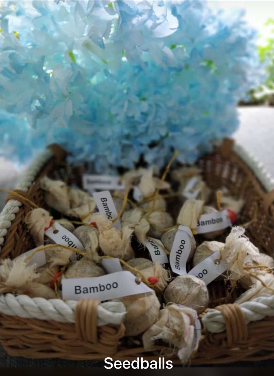 thetreebox1's tweet photo. Ganesh Chaturthi 2019 Return gifts ready to go...

To order these call 9920632623
Or reach out on https://t.co/FXfk04NOAG

#Thetreebox 
#BeejBalls https://t.co/azuEDdtLIz