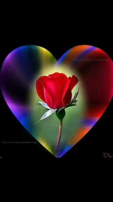 alamger (@alamger85711731) on Twitter photo 