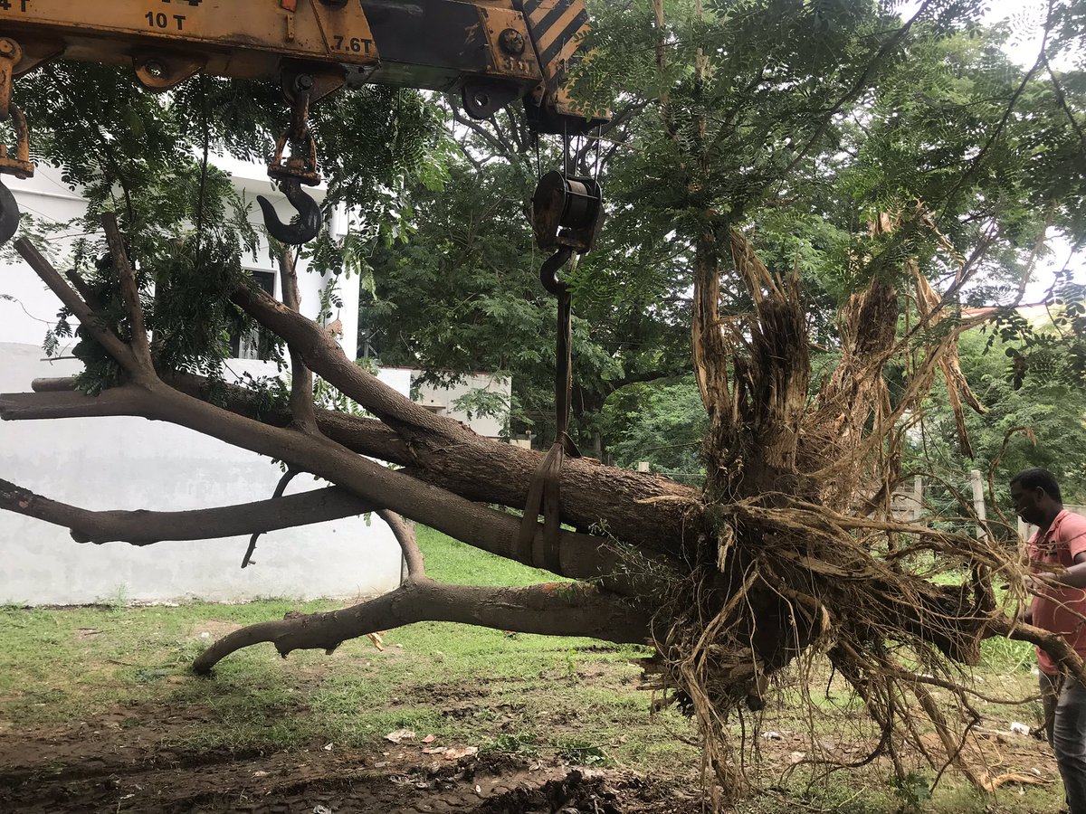 Music_Santhosh's tweet photo. In addition to planting numerous tree saplings, Replanting is also very crucial while we develop cities or construct houses which involves cutting. Often, replanting is cheaper than cutting costs 👍. We saved around 6 grown trees today using regular equipment. https://t.co/ESAMSMMQuo