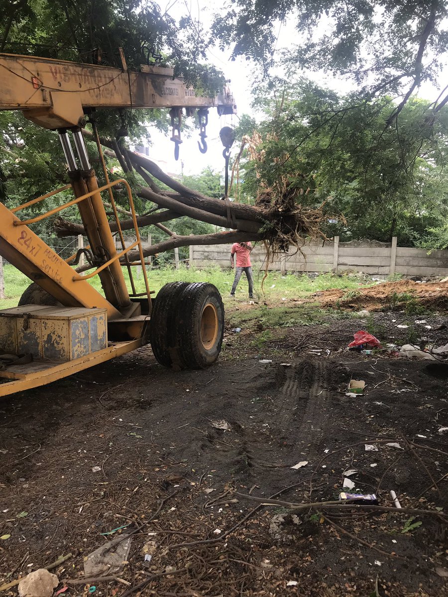 Music_Santhosh's tweet photo. In addition to planting numerous tree saplings, Replanting is also very crucial while we develop cities or construct houses which involves cutting. Often, replanting is cheaper than cutting costs 👍. We saved around 6 grown trees today using regular equipment. https://t.co/ESAMSMMQuo