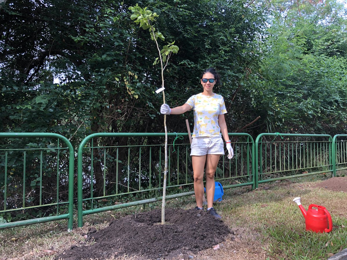 jsconfasia's tweet photo. This morning we made good on our promise to plant trees on behalf of our #JSConfAsia community with @nparksbuzz to take responsibility for some of the emissions our event has inevitably created. https://t.co/V5ETtcnNCq is a great source if you want to help, too. Letโs grow ๐ณ๐ณ๐ณ https://t.co/xhsWdLNb0K
