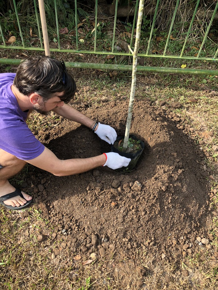jsconfasia's tweet photo. This morning we made good on our promise to plant trees on behalf of our #JSConfAsia community with @nparksbuzz to take responsibility for some of the emissions our event has inevitably created. https://t.co/V5ETtcnNCq is a great source if you want to help, too. Letโs grow ๐ณ๐ณ๐ณ https://t.co/xhsWdLNb0K