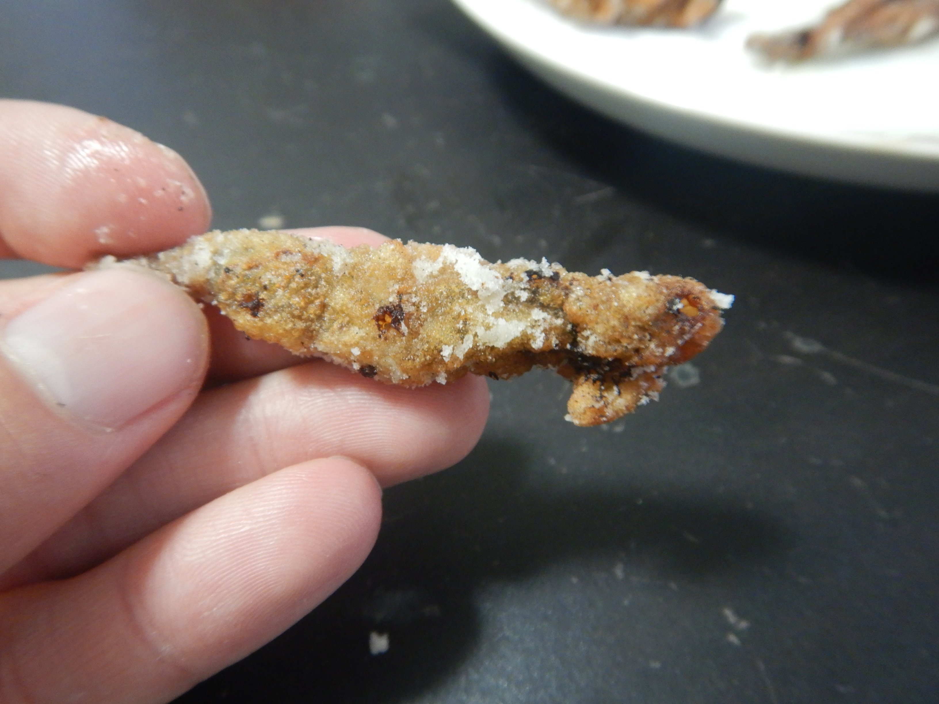 東京でとって食べる生活 ウシガエルのおたまじゃくし をとってきたので 唐揚げに 味は チキチキボーン 育ち具合で味が違うのですが 手足ができて陸にあがる直前の個体がイチバンうまい ひきしまった筋肉の食味が手羽先揚げそれ 変態に備えて