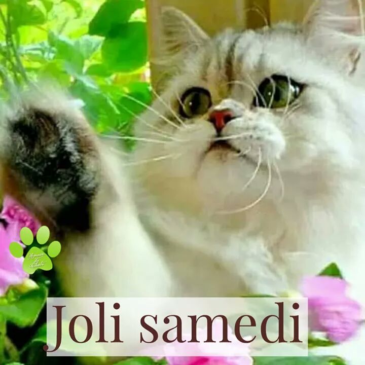 Laury Rimiquen Dsm Coucou Muriel Merci Passe Egalement Une Tres Bonne Journee Gros Bisous Tout Plein A Toi Et A Tous Tes Petits Proteges Twitter