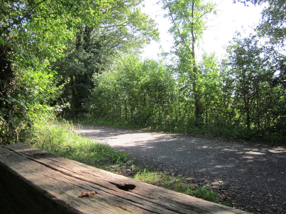 FromeMissingLnk's tweet photo. The FML #Ecology Group Autumn/Winter programme needs #volunteers, starting on Fri 6th Sept at Great Elm (9-3:30).
The pictures show some examples of vegetation clearing, hedge laying etc. to be done - if you would like to find out more, please get in touch!
#Frome #ColliersWay https://t.co/eG5yNHabRL