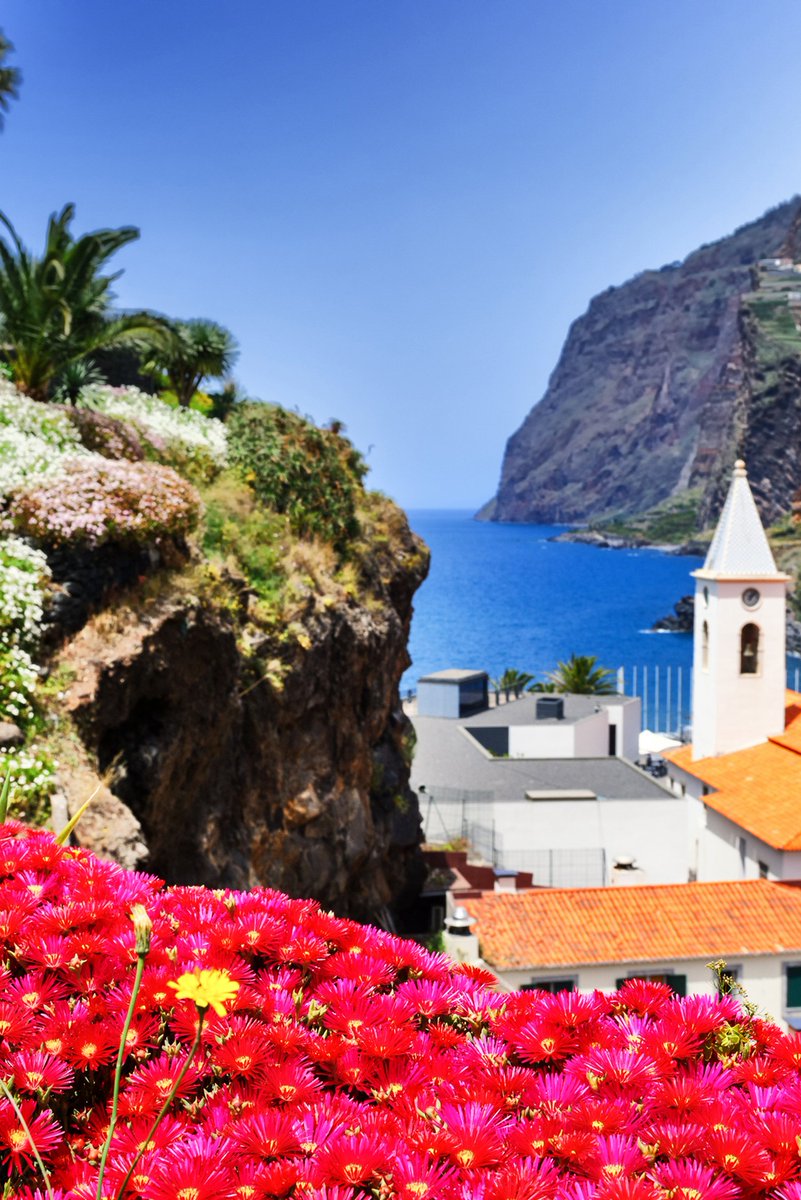 jackiedeburca's tweet image. Discover #beautiful #Madeira: black basalt beaches, joyful &amp;amp; magical memories of a tight-knit community, on this gorgeous, vibrant colourful Portuguese island (part of the Ana de Jesus Triangle) @Faded_Spring travelinspires.org/the-ana-de-jes…