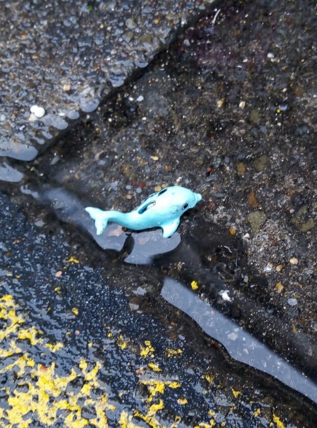 The morning weather was more suitable for this guy than litter picking but our valiant volunteers cleared six bags of litter in #Roath. Thanks and see you next Saturday.