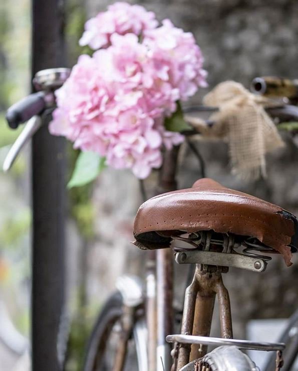 Relaislatorre's tweet photo. Appuntamento a #spilimbergo per Bike Vintage Alpe Adria! 2019 
Vi aspettiamo 31 agosto 1 settembre #savethedate!
#fvglive #bike #travel @vivispilimbergo https://t.co/zmgrNrQwoT
