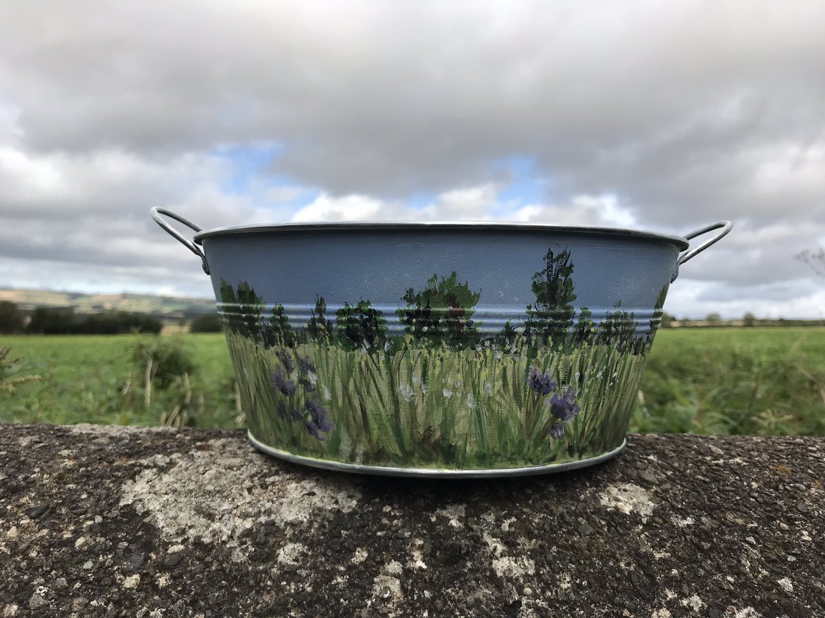 BrawBuckets's tweet photo. My most popular #brawbuckets at the moment. Make ideal pots for bulbs. In all different hand painted individual designs. Available tomorrow at #Etalflowershow #handpainted #unique #usefulart #galvanisedbuckets #brawbuckets https://t.co/sdDlzG7zNt